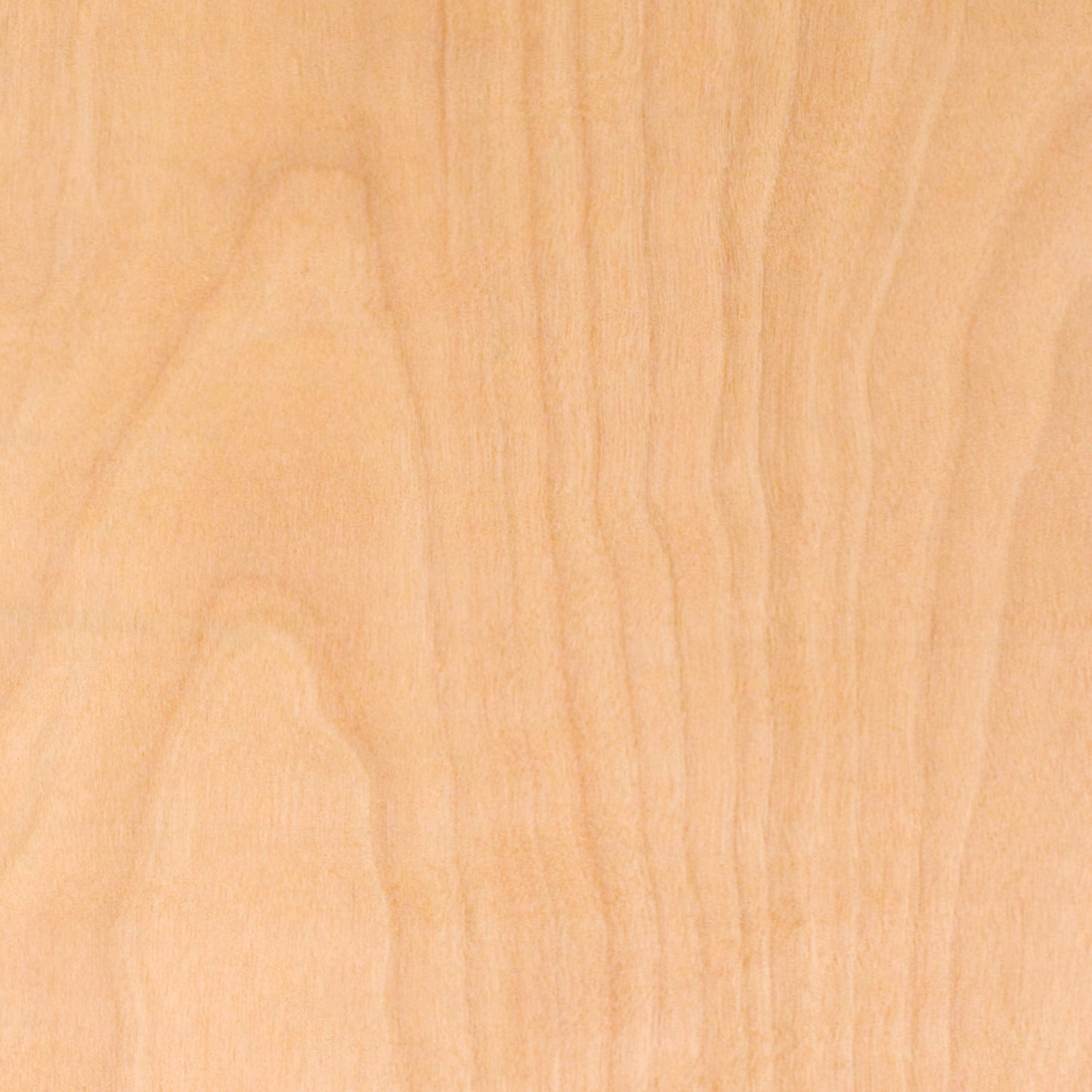 30x96 Wood Fold Table YT-WTFT30X96-TBL-GG