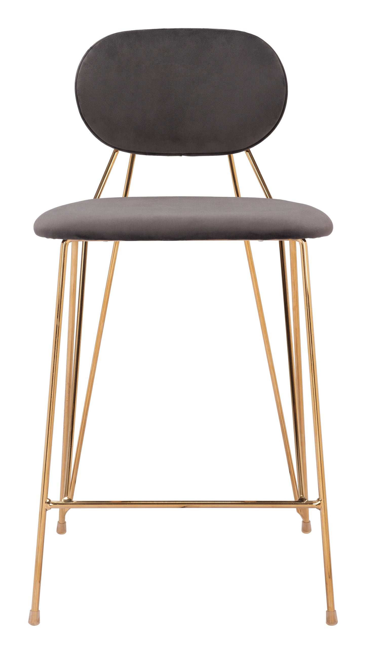 Georges Counter Stool (Set of 2) Gray & Gold