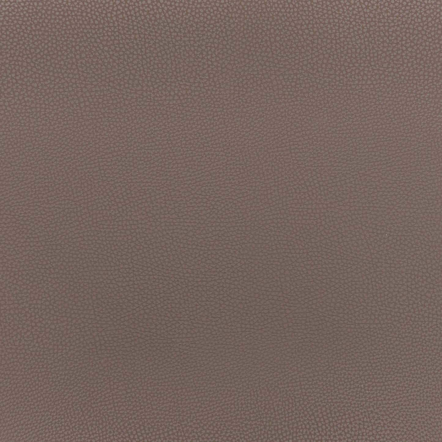 Desi Dining Chair (Set of 2) Brown & Walnut