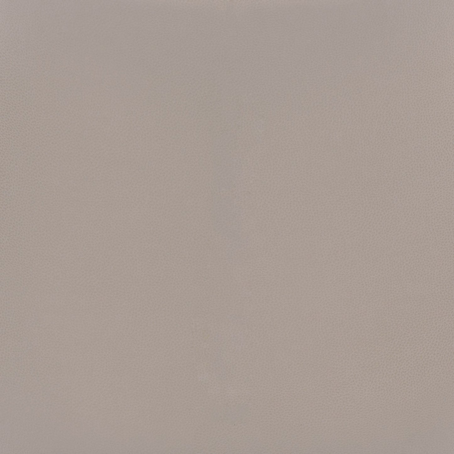 Ace Dining Chair (Set of 2)