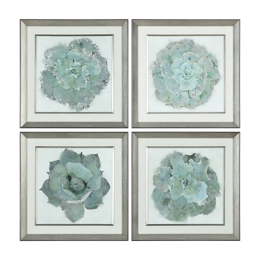 Uttermost Natural Beauties Botanical Prints S/4