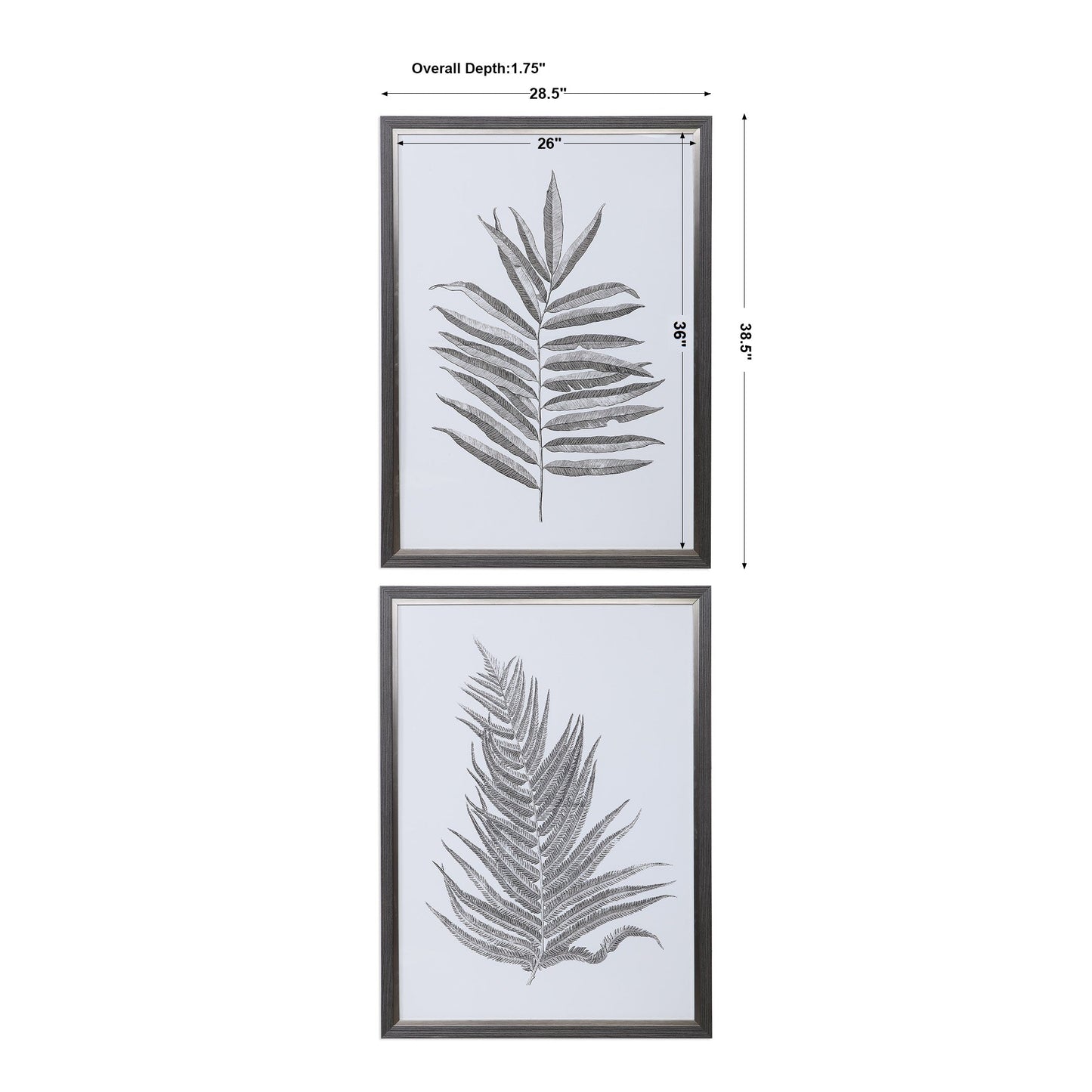 Uttermost Silver Ferns Framed Prints Set/2