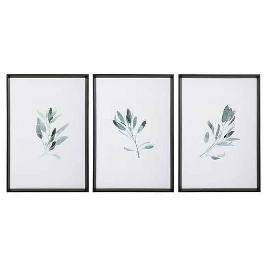 Uttermost Simple Sage Watercolor Prints, S/3