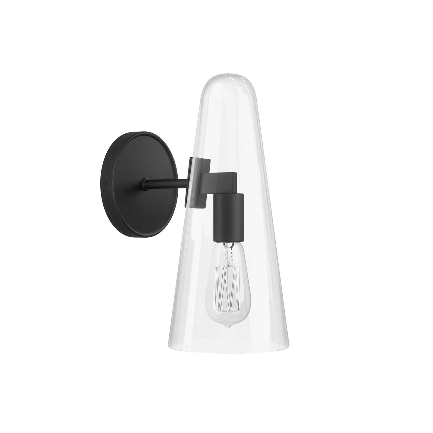 Beacon 1-Light Wall Sconce Clear Black EEI-5645-CLR-BLK