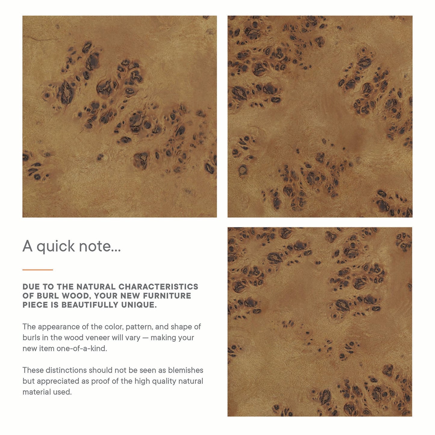 Elysian 48" Wood Double Sink Bathroom Vanity by Modway EEI-6457-BLK-BRN