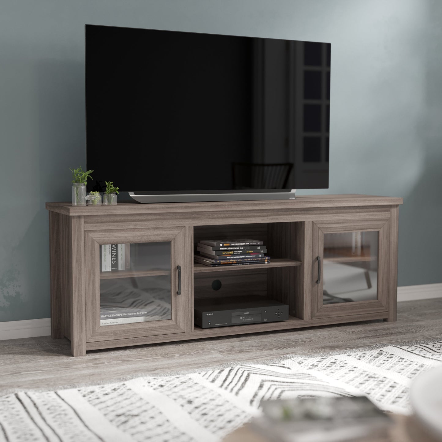 65" Glass Door TV Stand - Modern Design with Multiple Finish Options