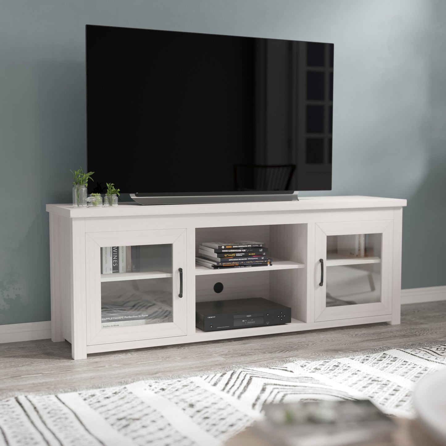 65" Glass Door TV Stand - Modern Design with Multiple Finish Options