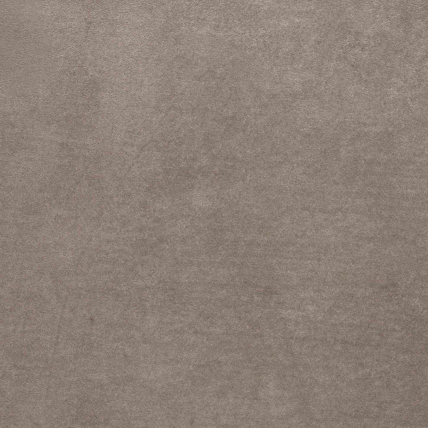 Annabelle 80" Fossil Gray Velvet Sofa with Black Wood Legs