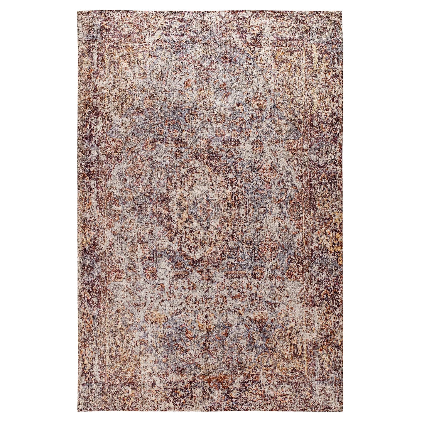 5' x 7' Multicolor Area Rug RC-EG-2021-2-57-GG