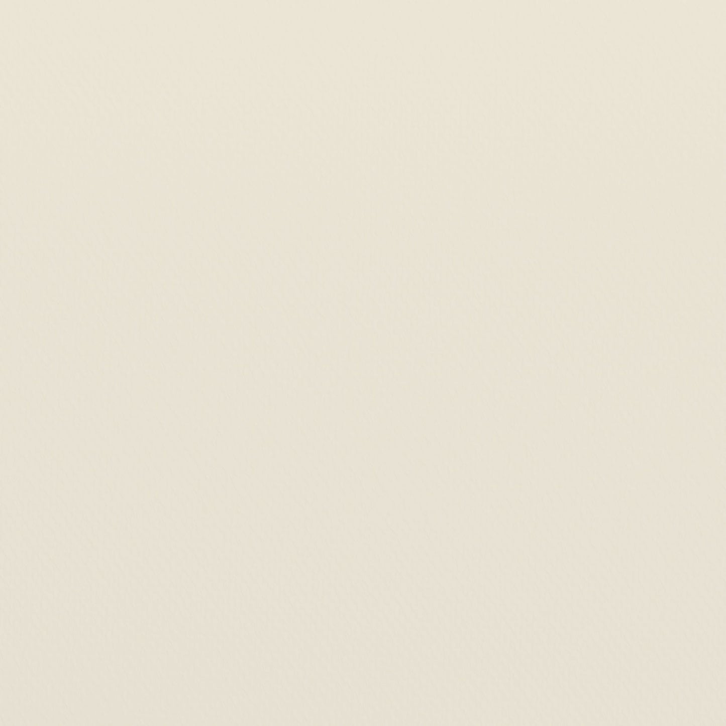 2PK NAT/Cream PE Rattan Chairs SB-1960-CH-CREAM-GG