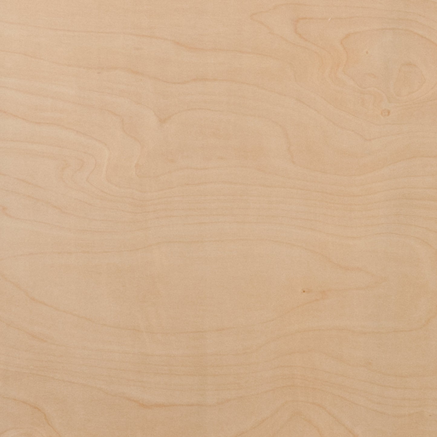 66RND Wood Fold Table-Met Edge XA-66-BIRCH-M-GG