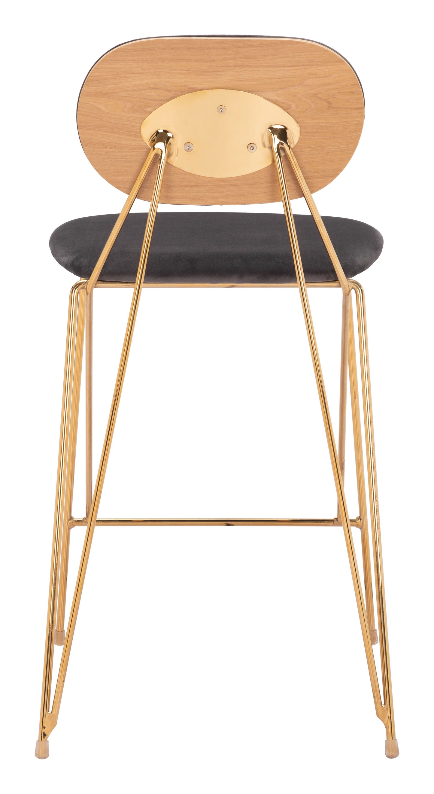 Georges Counter Stool (Set of 2) Gray & Gold