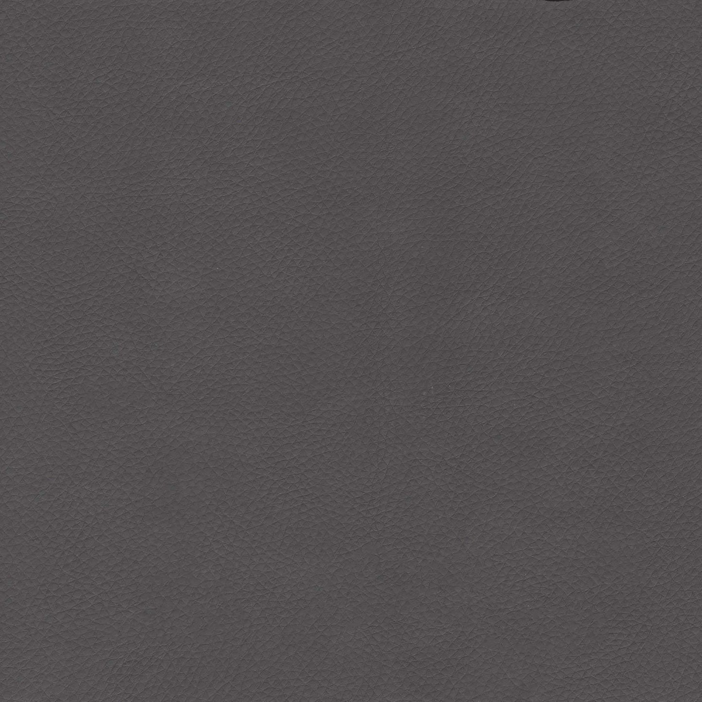 Maxine Dining Chair Gray & Gold