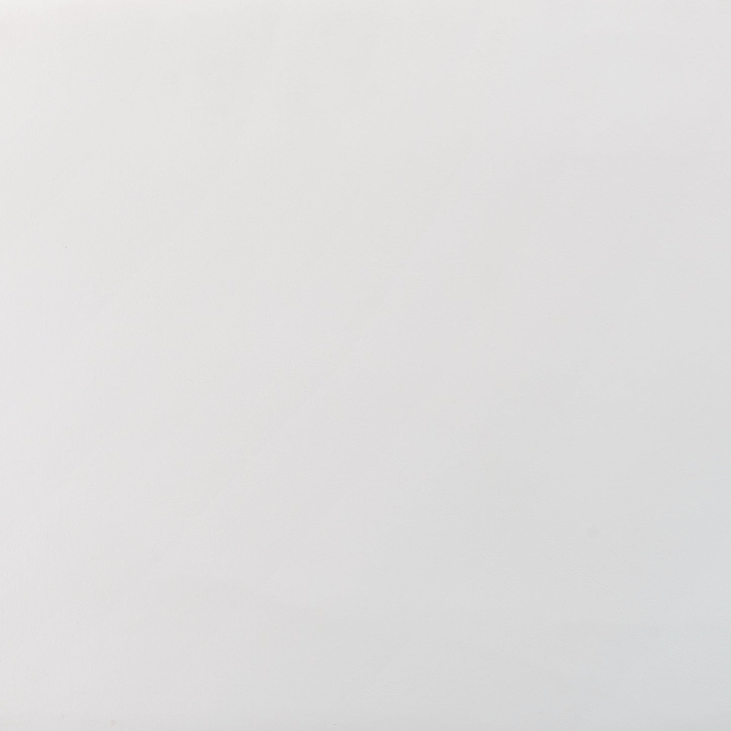 Joy Dining Chair (Set of 2) White