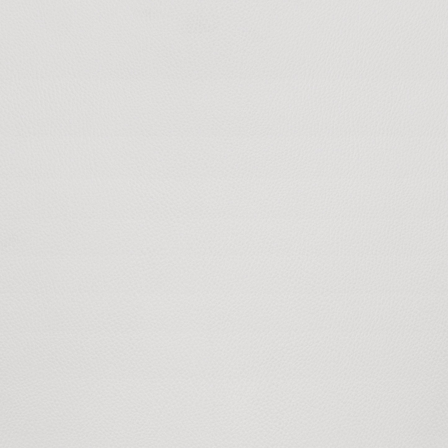 Torlo Dining Chair (Set of 2) White